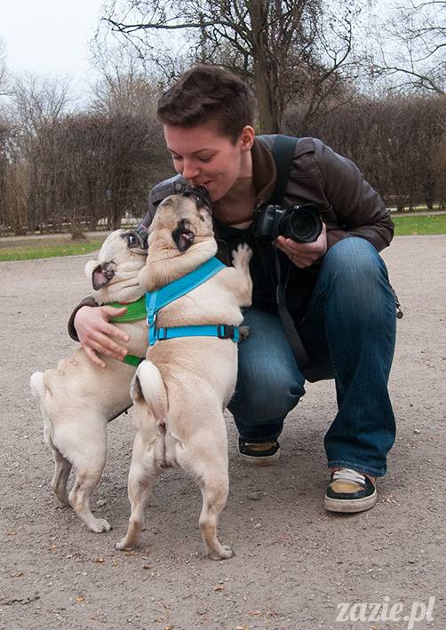 mopsy mopsiki zazie kumok i miszur pugs kumoczek i miszurek