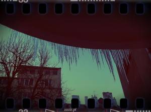 piękną zimę mamy tej wiosny…