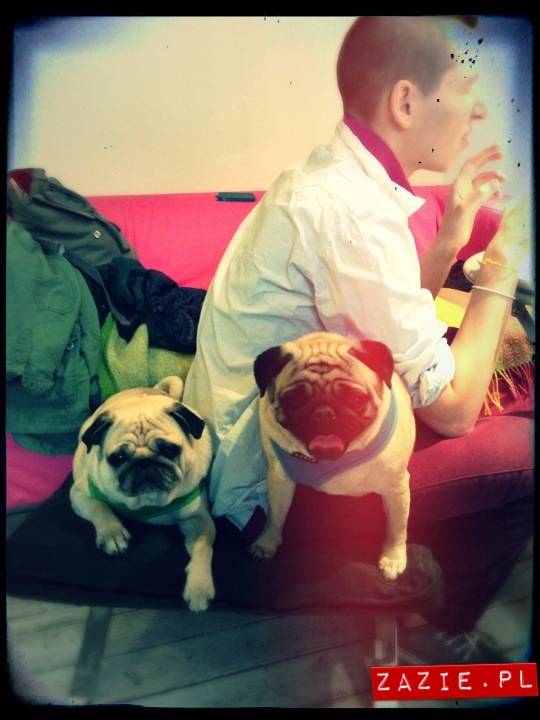 kawiarnia Posłaniec Uczuć, Glogera 6, Stara Ochota, Zazie i Syd oraz mopsy Kumok i Miszur