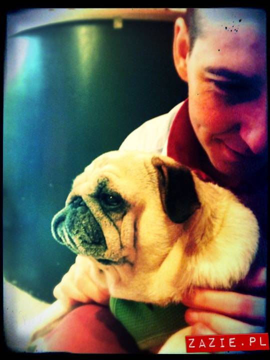 kawiarnia Posłaniec Uczuć, Glogera 6, Stara Ochota, Zazie i Syd oraz mopsy Kumok i Miszur