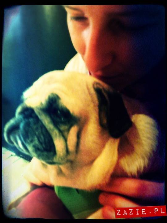 kawiarnia Posłaniec Uczuć, Glogera 6, Stara Ochota, Zazie i Syd oraz mopsy Kumok i Miszur