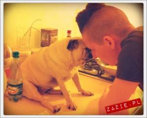 wielki świat – kuchenny blat