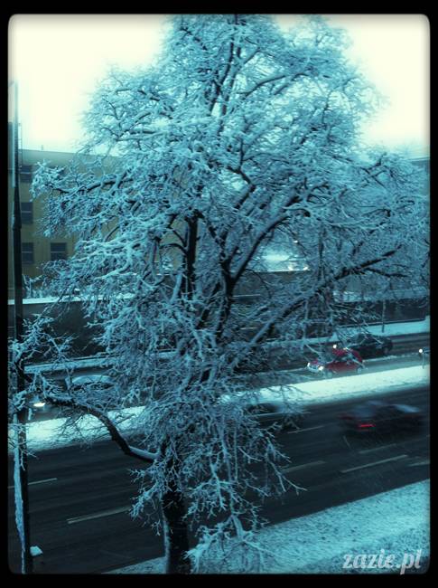 wielkanoc_kumok_miszur_syd_zazie_00