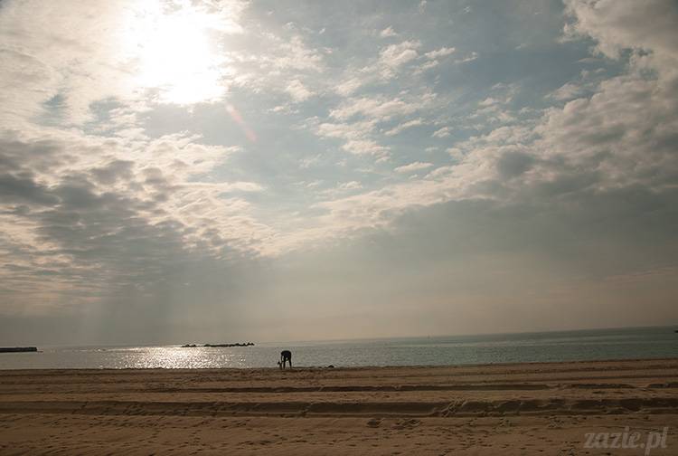 Blythe dolls on the beach, lalki Blythe na plaży, Blythe Custom OOAK by Zazie
