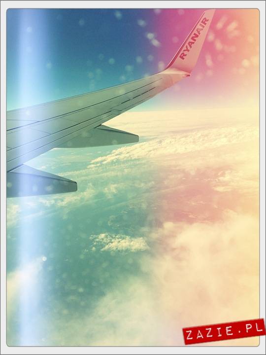 blythe dolls, flight to Barcelona, Blythecon Barcelona 2013