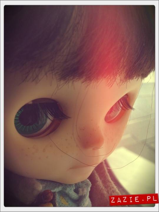 blythe dolls, flight to Barcelona, Blythecon Barcelona 2013