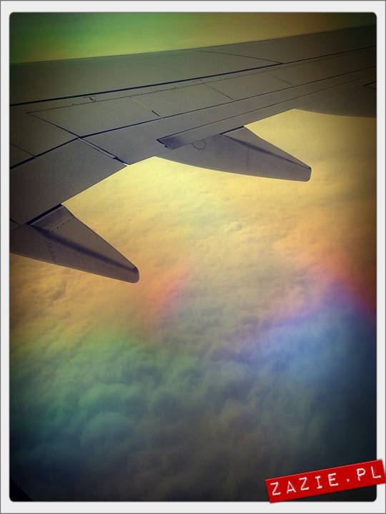 blythe dolls, flight to Barcelona, Blythecon Barcelona 2013