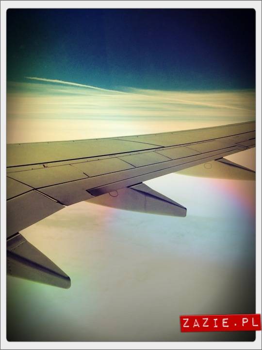 blythe dolls, flight to Barcelona, Blythecon Barcelona 2013