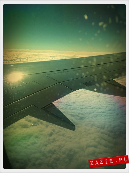 blythe dolls, flight to Barcelona, Blythecon Barcelona 2013