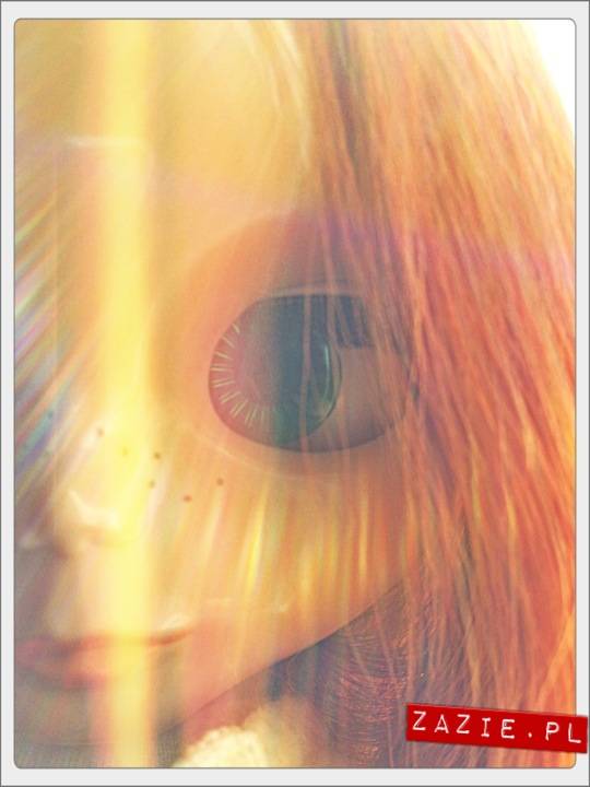 blythe dolls, flight to Barcelona, Blythecon Barcelona 2013