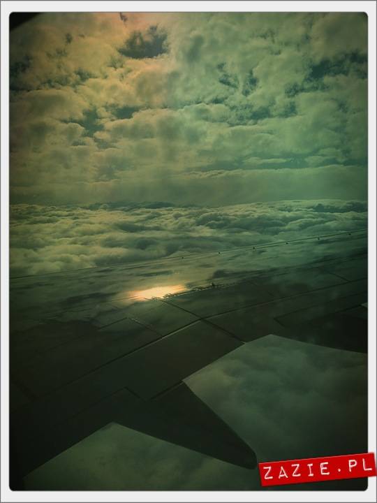 blythe dolls, flight to Barcelona, Blythecon Barcelona 2013