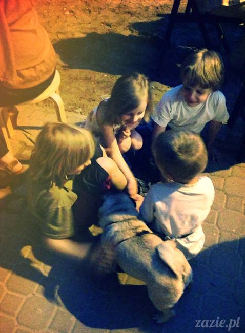 kawiarnia Posłaniec Uczuć Glogera 6 Stara Ochota