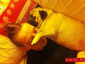 pug continuum concept