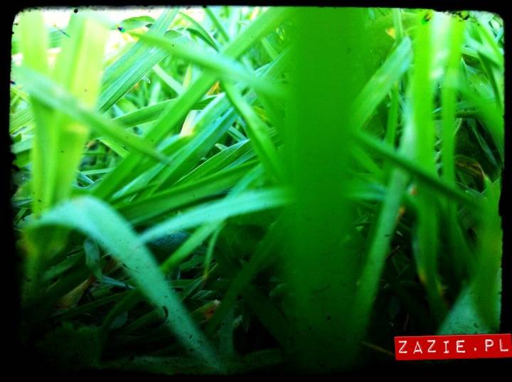 wiosna_na_ochocie_01