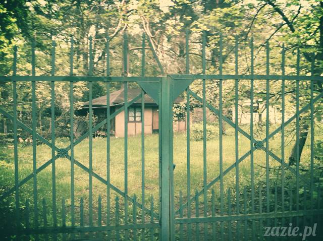 wycieczka podmiejska na oparach benzyny