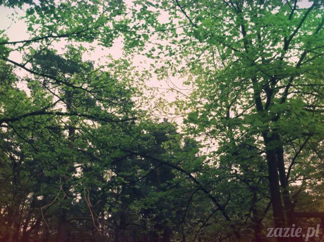 wycieczka podmiejska na oparach benzyny