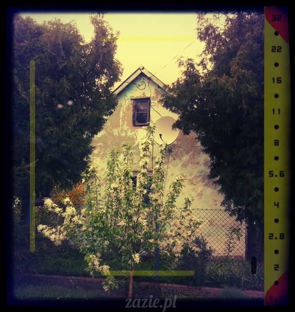 wycieczka podmiejska na oparach benzyny