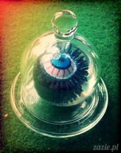 an eye for optical theory