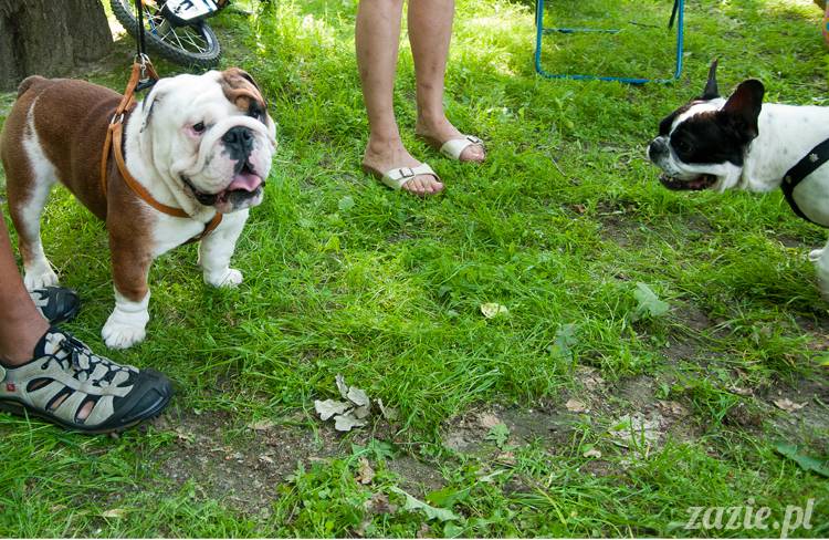 Piknik Ochocian czerwiec 2013 Park Wielkopolski Warszawa Ochota, Ochocianie Sąsiedzi, Posłaniec Uczuć