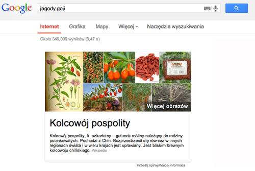 goji_google