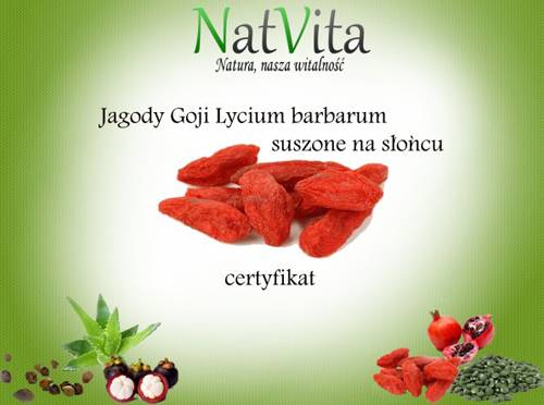 jagody-goji-suszone-lycium-barbarum-cena-sklep-wlasciwosci