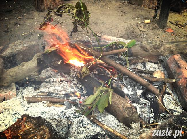 ognisko nad Wisła i rower Zazie