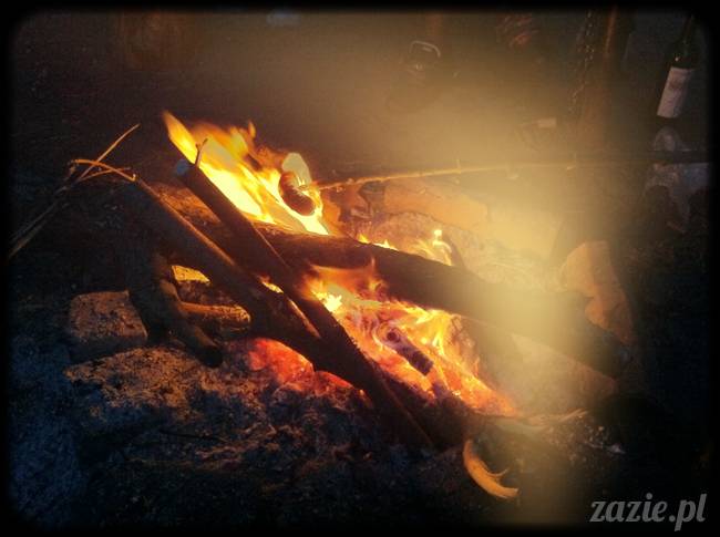 ognisko nad Wisła i rower Zazie