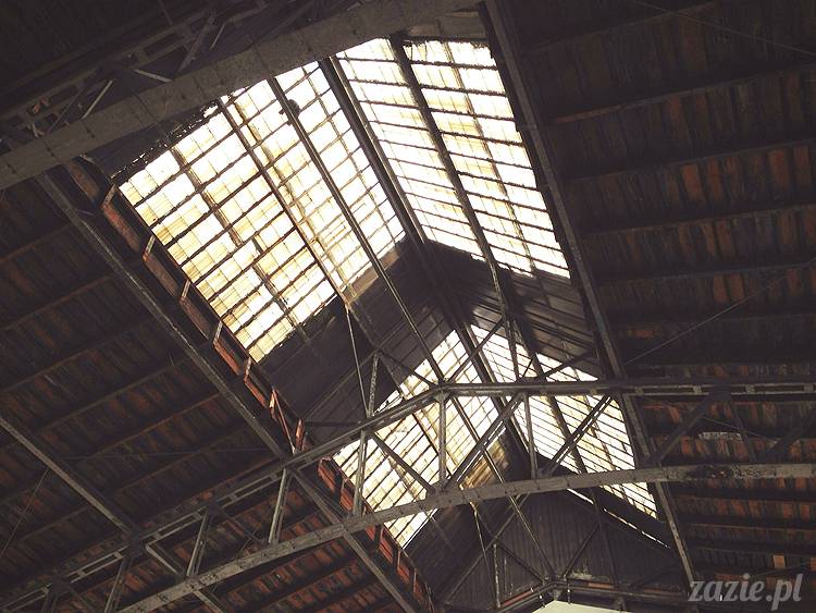 galeria czułość warszawa koszyki