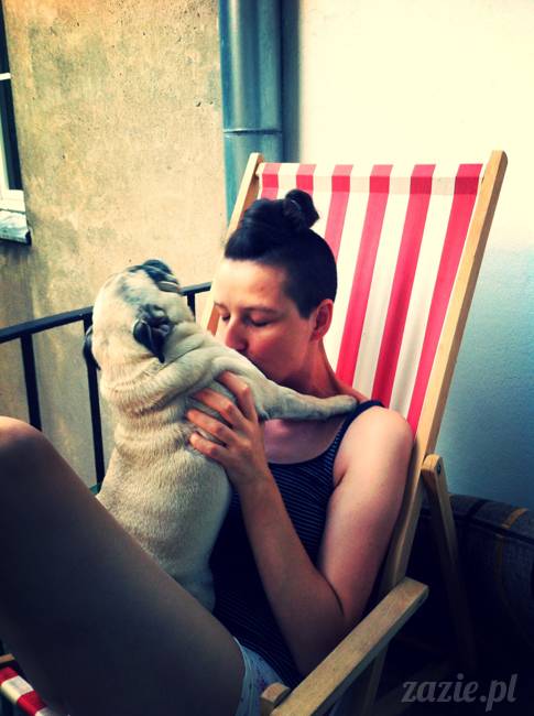 mops mopsy mopsiczki Kumok i Miszur od Zazie i Syd