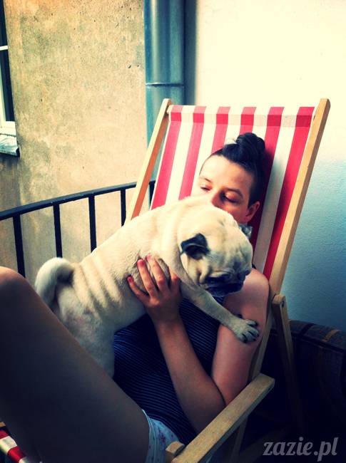 mops mopsy mopsiczki Kumok i Miszur od Zazie i Syd