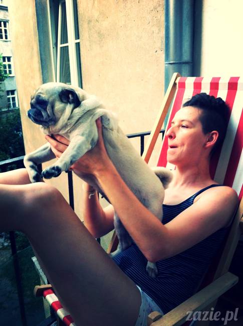 mops mopsy mopsiczki Kumok i Miszur od Zazie i Syd