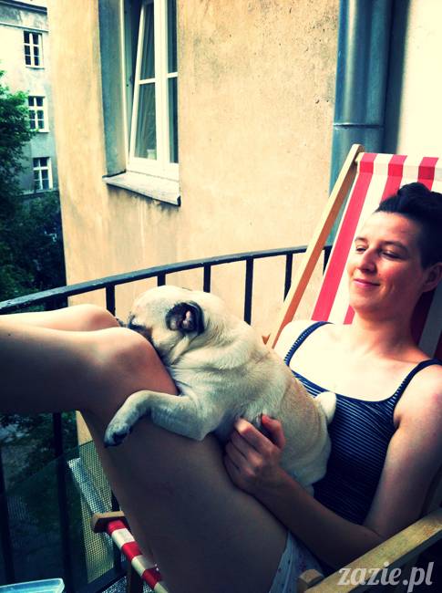 mops mopsy mopsiczki Kumok i Miszur od Zazie i Syd