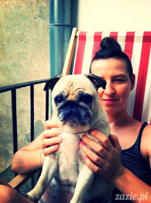 mops mopsy mopsiczki Kumok i Miszur od Zazie i Syd