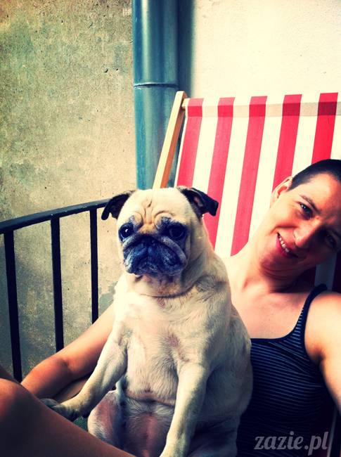 mops mopsy mopsiczki Kumok i Miszur od Zazie i Syd