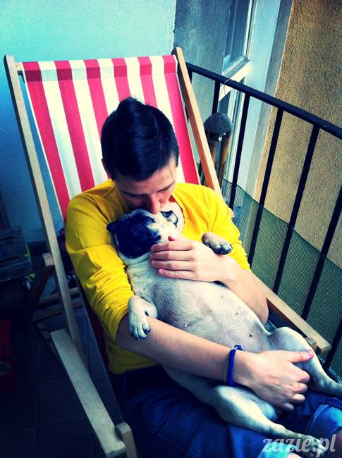 mops mopsy mopsiczki Kumok i Miszur od Zazie i Syd