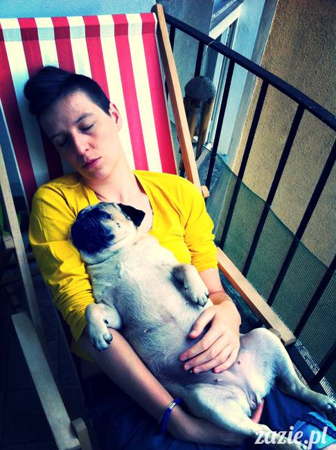 mops mopsy mopsiczki Kumok i Miszur od Zazie i Syd