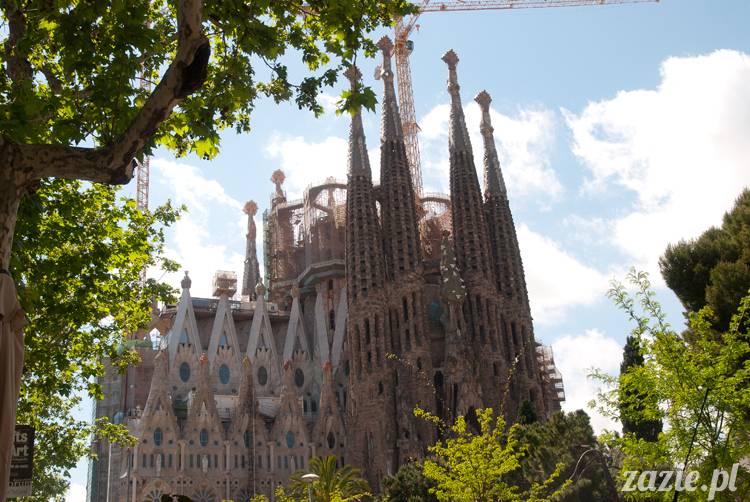 lalka Blythe Orka Blythe doll Simply Chocolate OOAK custom by Zazie, trip to Barcelona Blythecon 2013