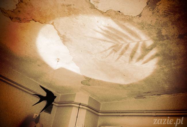 lato 2013 Posłaniec Uczuć Stara Ochota Glogera 6