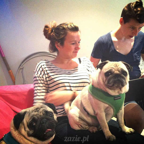 lato 2013 Posłaniec Uczuć Stara Ochota Glogera 6