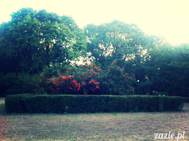 sposoby na bezsenność, nie mogę spać, problemy z zaśnięciem, leki i suplementy nasenne, akupresura na sen