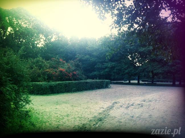 sposoby na bezsenność, nie mogę spać, problemy z zaśnięciem, leki i suplementy nasenne, akupresura na sen