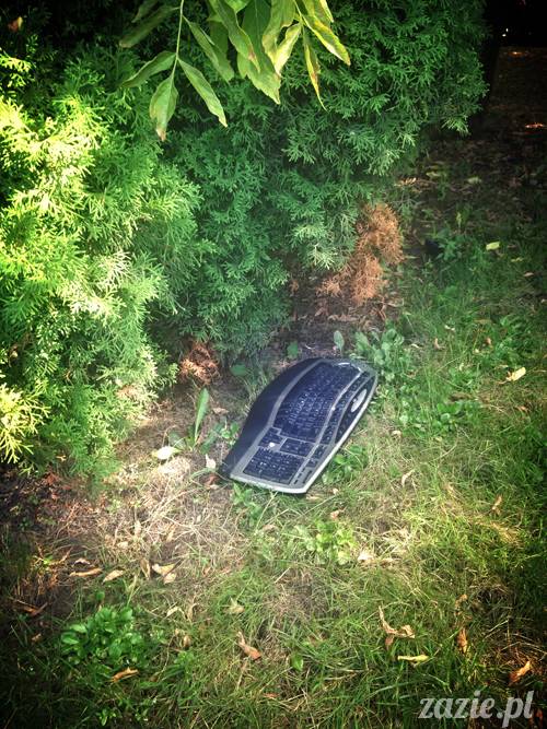 sposoby na bezsenność, nie mogę spać, problemy z zaśnięciem, leki i suplementy nasenne, akupresura na sen