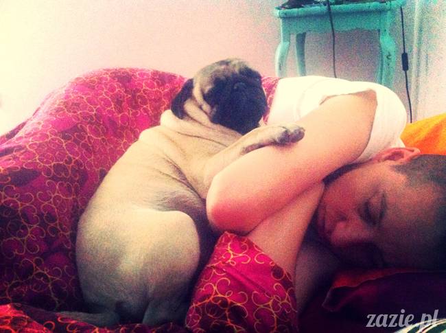 sposoby na bezsenność, nie mogę spać, problemy z zaśnięciem, leki i suplementy nasenne, akupresura na sen