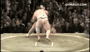 sumo