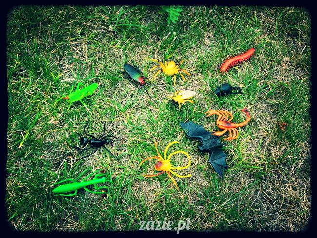 szlam_planktona_ektoplazma_robaki_02