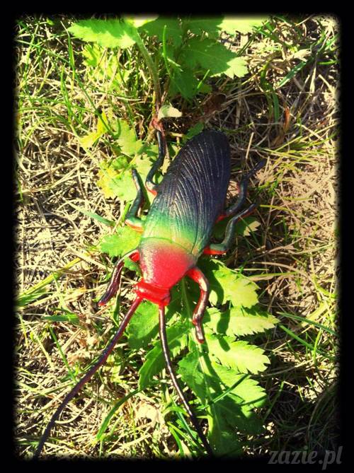 szlam_planktona_ektoplazma_robaki_03