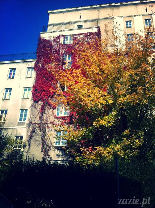 krzysiaczek_w_poslanczyku_01