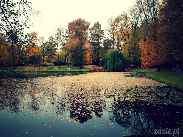 lalka Middie Blythe doll Parson Grace