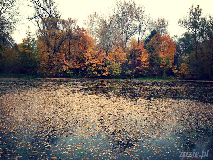 lalka Middie Blythe doll Parson Grace