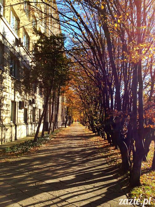 ogródek jordanowski na Starej Ochocie